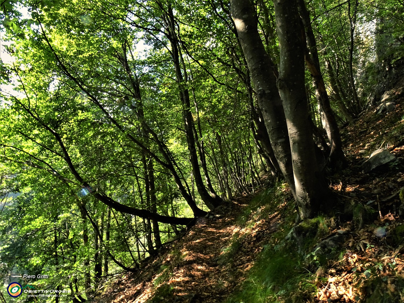 27 Dopo lungo ghiaione il sentiero sale di nuovo nel bosco.JPG